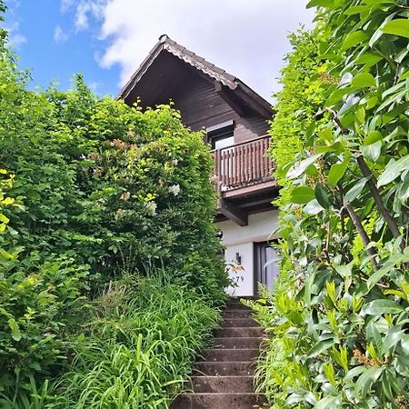 Odenwald Lounge Villa Reichelsheim Exteriör bild